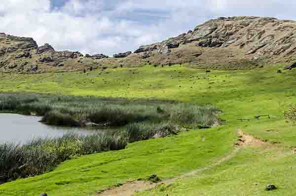 38 - Chile - isla de Rapa Nui o Pascua - Rano Raraku - crater